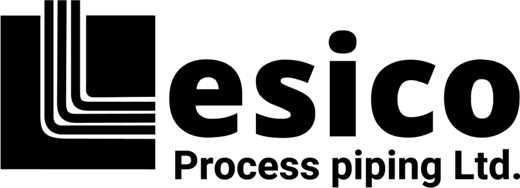 Lesico logo